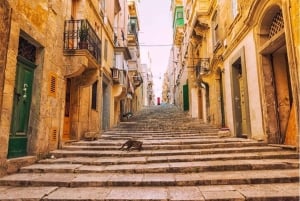Valletta : Wycieczka piesza po atrakcjach, które musisz zobaczyć
