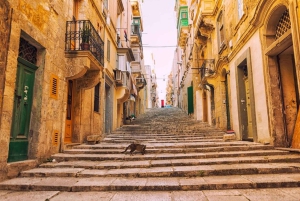 Valletta: Privat spasertur med guide (privat tur)