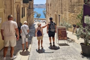 Valletta: excursão a pé particular com guia local