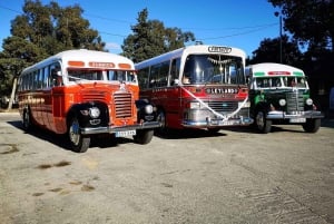 Malta: 5 hr Vintage Bus Tour - Mdina & Blue Grotto inc. food