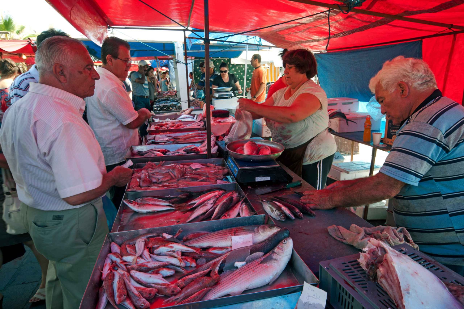 タルシエン寺院、カランカ湾、青の洞窟、マルサクスロックを訪問