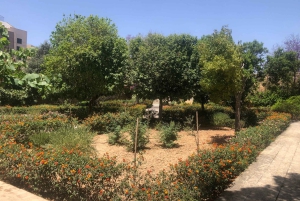 タルシエン寺院、カランカ湾、青の洞窟、マルサクスロックを訪問