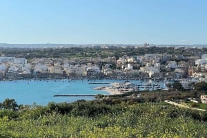 タルシエン寺院、カランカ湾、青の洞窟、マルサクスロックを訪問