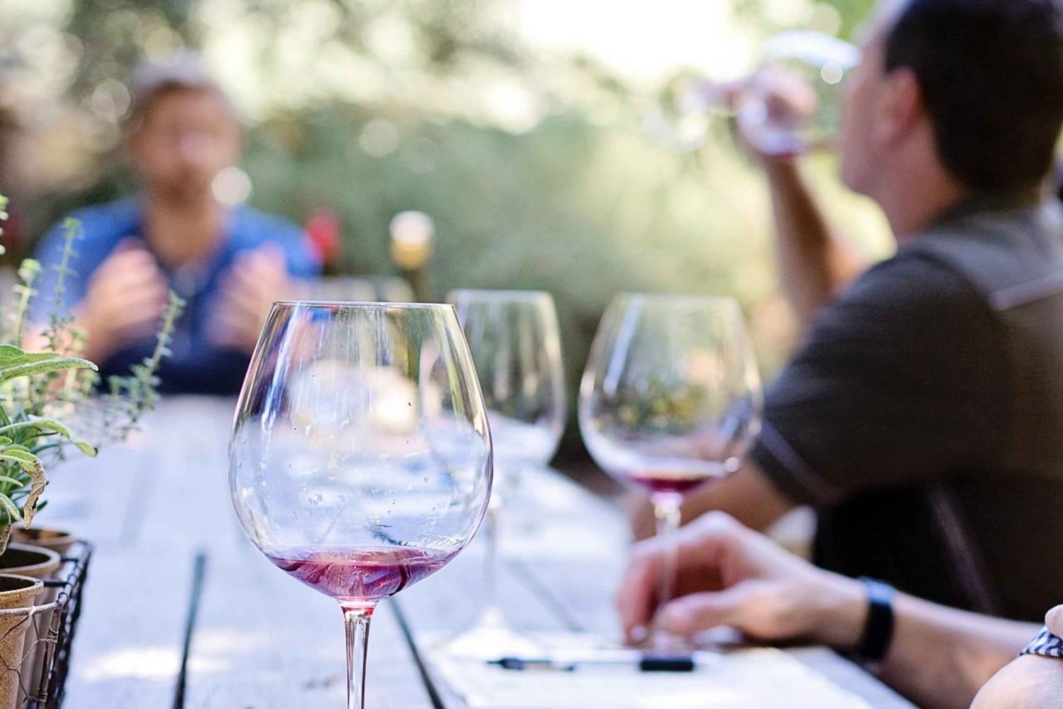 Wine Lover's Tour of Malta