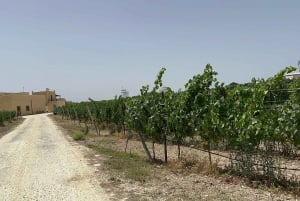 Wine with Maltese Grapes TOUR IN PORTUGUESE