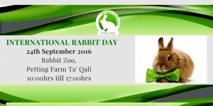 International Rabbit Day 2016