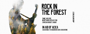 Rock in the Forest