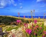 Malta Top 10 Attractions