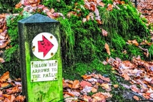 Von Manchester aus: Tagestour zu den Sehenswürdigkeiten des Lake District