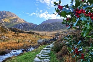 From Manchester: North Wales and Caernarfon Castle Day Trip