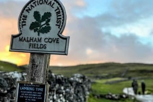 De Manchester: Viagem de 1 dia a Yorkshire