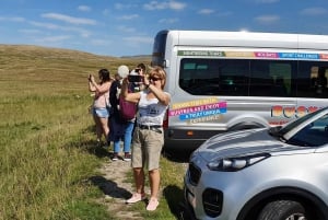 De Manchester: Viagem de 1 dia a Yorkshire