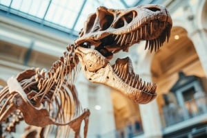 Private Führung durch das Manchester Museum mit Eintritt