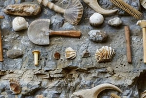 Private Führung durch das Manchester Museum mit Eintritt