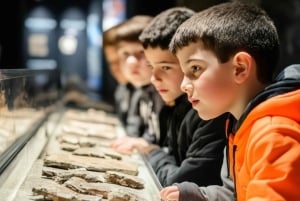 Private Führung durch das Manchester Museum mit Eintritt