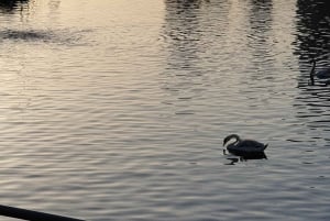 Manchester: Media City & The Quays guidet byrundvisning