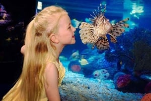 Manchester: Visit Manchester Pass with Entry Tickets & Tours