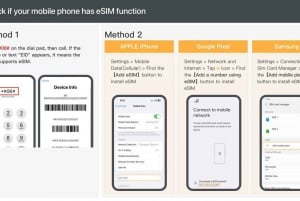 Delhi/Jaipur/Agra: Privat enveistransport
