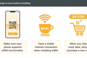 Delhi/Jaipur/Agra: Privat enveistransport