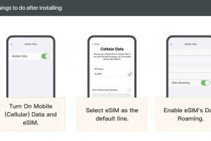 Delhi/Jaipur/Agra: Privat enveistransport