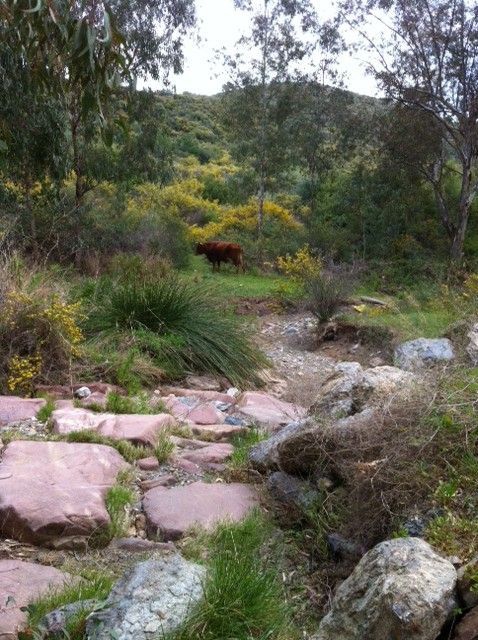 A nature hike