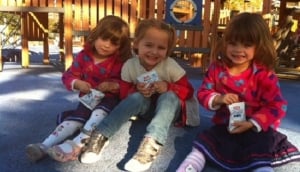 Image Copyright Gary Edwards