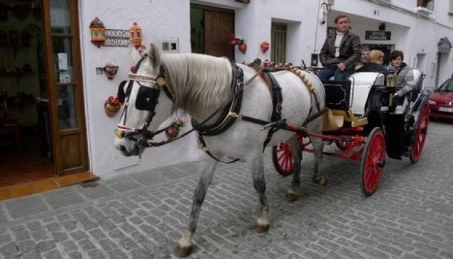 Take a horse driven carriage around Marbella