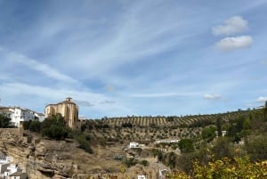 ab Marbella/Estepona: VIP-tur Ronda + Setenil d. l. Bodegas