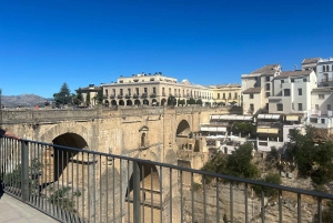 ab Marbella/Estepona: VIP-tur Ronda + Setenil d. l. Bodegas