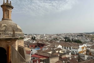 ab Marbella/Estepona: VIP-tur Ronda + Setenil d. l. Bodegas