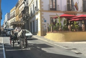 ab Marbella: Tour privado Ronda y Setenil de las Bodegas