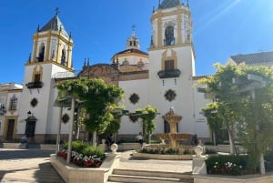 ab Marbella: Tour privado Ronda y Setenil de las Bodegas