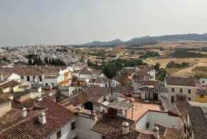 Marbella/Estep. Privat VIP-tur til Ronda inkl. tapas og drikkevarer