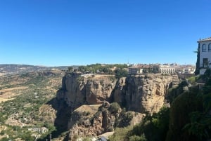 ab Mijas: Private Tour Ronda und Setenil de las Bodegas