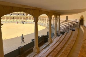 ab Mijas: Tour particular VIP em Ronda e Setenil de las Bodegas