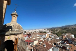 ab Mijas: Tour particular VIP em Ronda e Setenil de las Bodegas