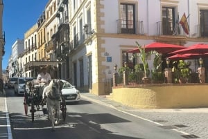 ab Mijas: Privat VIP-tur Ronda och Setenil de las Bodegas