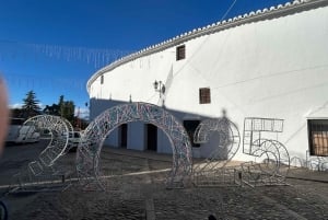 ab Mijas: Privat VIP-tur Ronda och Setenil de las Bodegas
