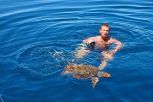 Always private 4 hour - Sail- dolphin Yacht Charter-paddle