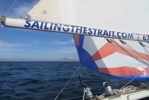 Always private 4 hour - Sail- dolphin Yacht Charter-paddle