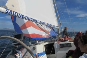 Always private 4 hour - Sail- dolphin Yacht Charter-paddle