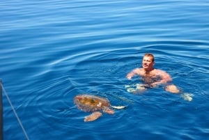 Always private 4 hour - Sail- dolphin Yacht Charter-paddle