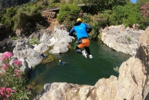 Benahavís: Guidad tur i kanjon vid Guadalminafloden