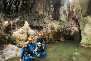 Benahavís: Guidad tur i kanjon vid Guadalminafloden