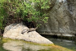 Benahavís: Guidet juving-eventyr (Benahavís River Walk)