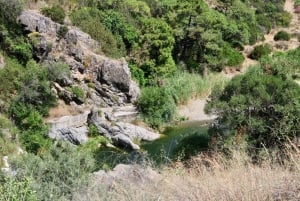 Benahavís: Guided Canyoning Trip (Benahavís River Walk)