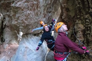 From Estepona: Vía Ferrata de Benalauria climbing tour