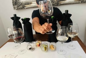 Sensory Tasting: discover wine with the 5 senses