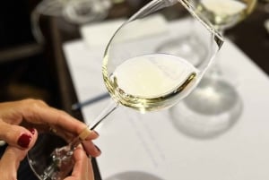 Sensory Tasting: discover wine with the 5 senses