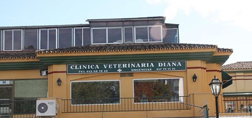 Clínica Veterinária Diana